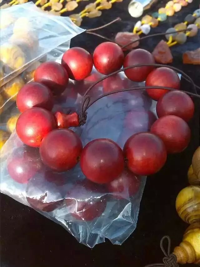 酸棗花枝