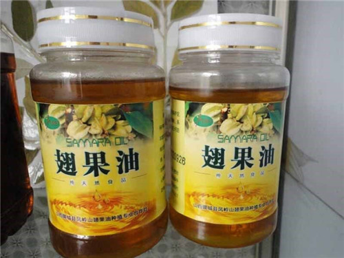 翅果苗木種子