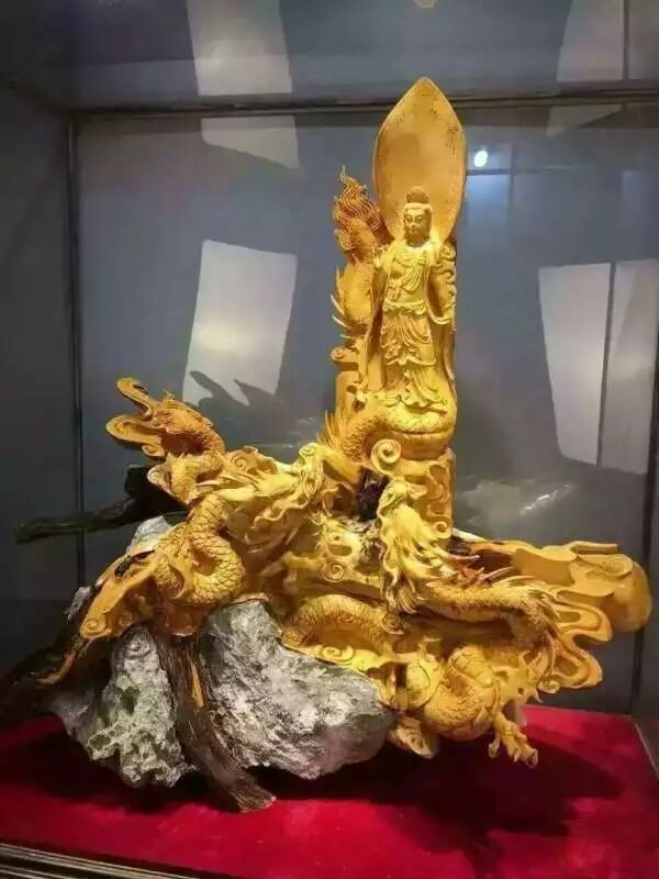 黃柏木