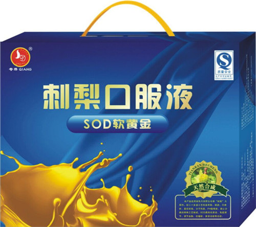 刺梨苗木