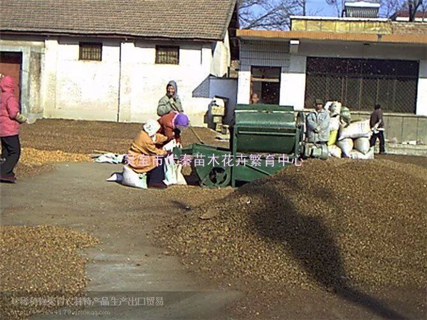 農副產品加工