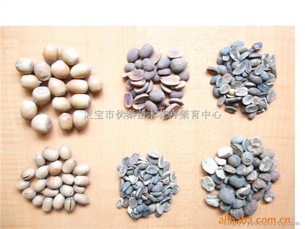 農副產品加工