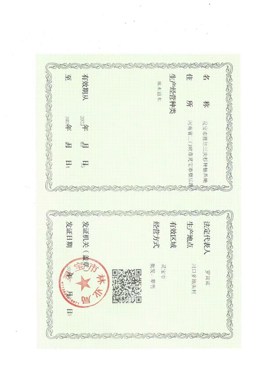 榮譽資質(zhì)